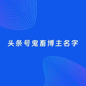 自媒体起名案例：5个好听的「鬼畜博主头条号名字」