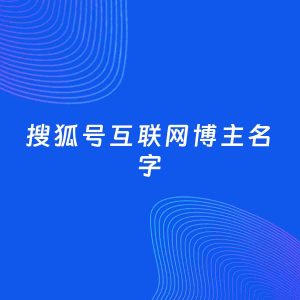 自媒体起名案例：5个好听的「互联网博主搜狐号名字」