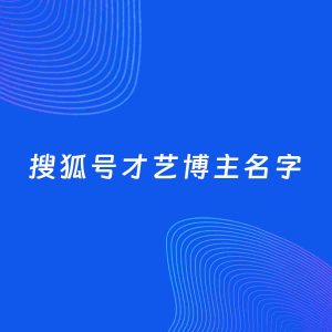 自媒体起名案例：5个好听的「才艺博主搜狐号名字」