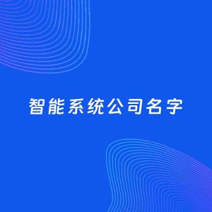 公司起名案例：5个好听的「智能系统公司名字」