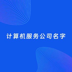 公司起名案例：5个好听的「计算机服务公司名字」