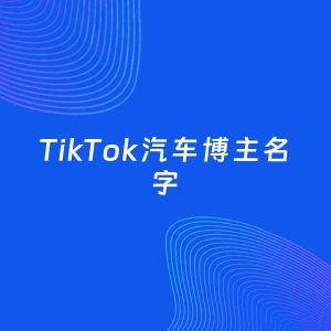 自媒体起名案例：5个好听的「汽车博主TikTok名字」