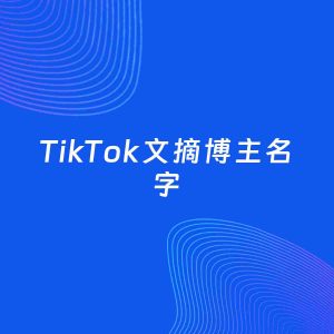 自媒体起名案例：5个好听的「文摘博主TikTok名字」