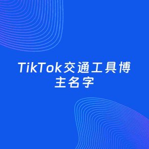自媒体起名案例：5个好听的「交通工具博主TikTok名字」