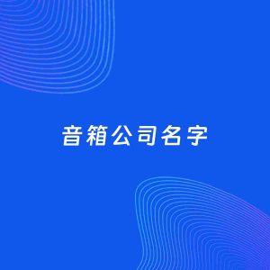 公司起名案例：5个好听的「音箱公司名字」