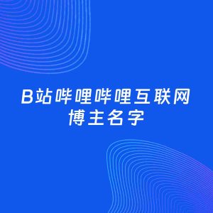 自媒体起名案例：5个好听的「互联网博主B站哔哩哔哩名字」