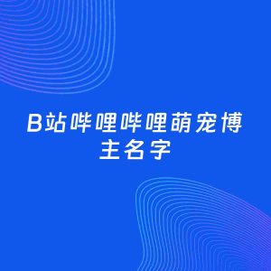 自媒体起名案例：5个好听的「萌宠博主B站哔哩哔哩名字」
