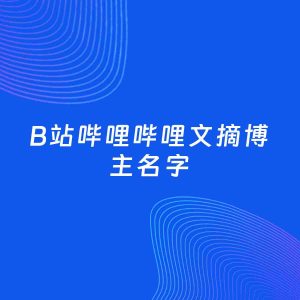 自媒体起名案例：5个好听的「文摘博主B站哔哩哔哩名字」