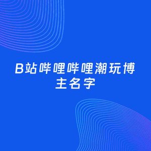 自媒体起名案例：5个好听的「潮玩博主B站哔哩哔哩名字」