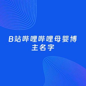 自媒体起名案例：5个好听的「母婴博主B站哔哩哔哩名字」