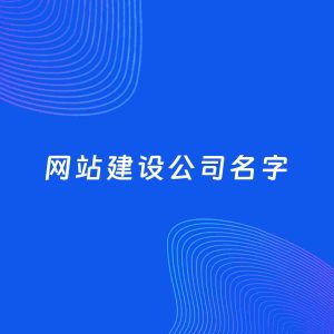公司起名案例：5个好听的「网站建设公司名字」