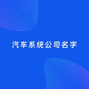 公司起名案例：5个好听的「汽车系统公司名字」