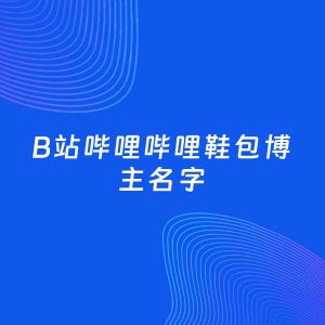 自媒体起名大全：鞋包博主B站哔哩哔哩名字分享